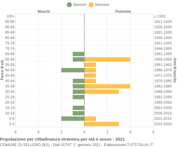 Grafico cittadini stranieri - Sellero 2021