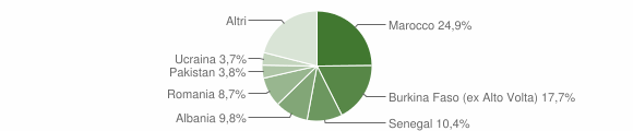 Grafico cittadinanza stranieri - Vobarno 2015