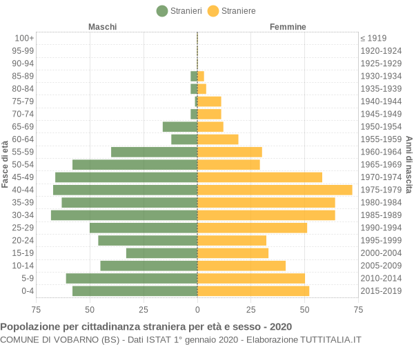 Grafico cittadini stranieri - Vobarno 2020