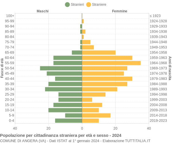 Grafico cittadini stranieri - Angera 2024