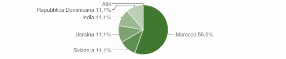 Grafico cittadinanza stranieri - Blessagno 2011