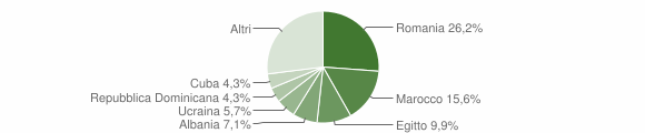 Grafico cittadinanza stranieri - Bubbiano 2015