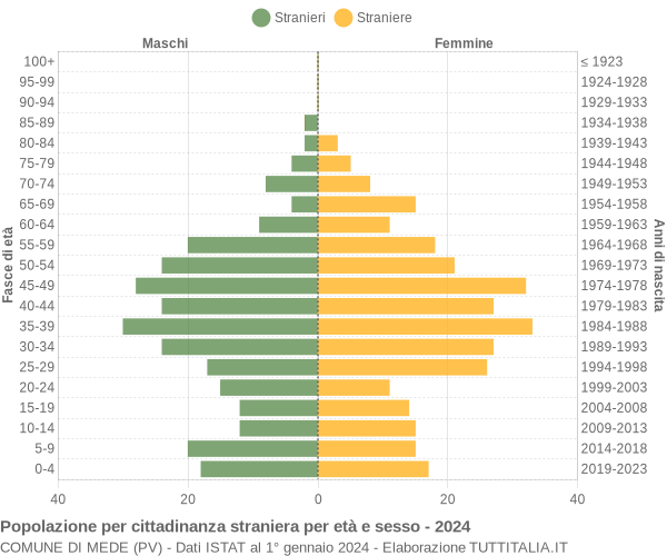 Grafico cittadini stranieri - Mede 2024