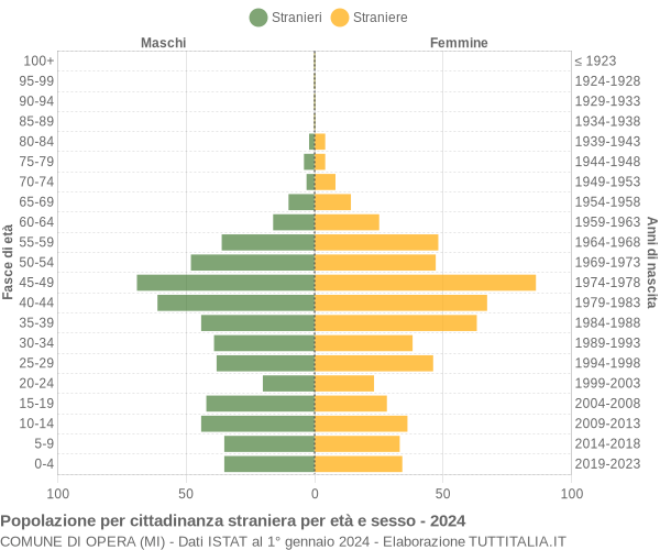 Grafico cittadini stranieri - Opera 2024