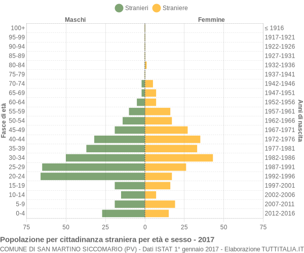 Grafico cittadini stranieri - San Martino Siccomario 2017