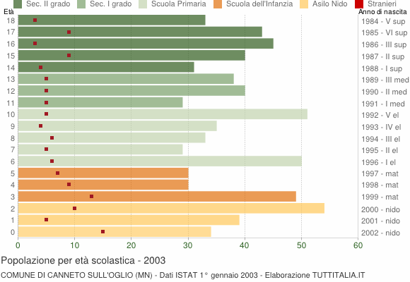 Grafico Popolazione in età scolastica - Canneto sull'Oglio 2003