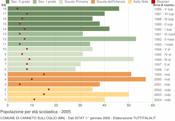 Grafico Popolazione in età scolastica - Canneto sull'Oglio 2005