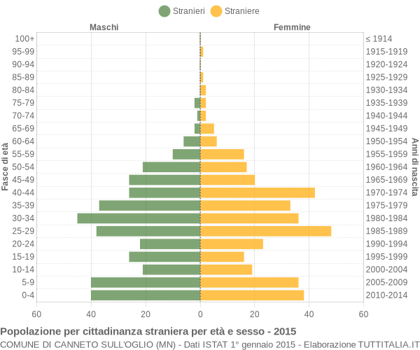 Grafico cittadini stranieri - Canneto sull'Oglio 2015