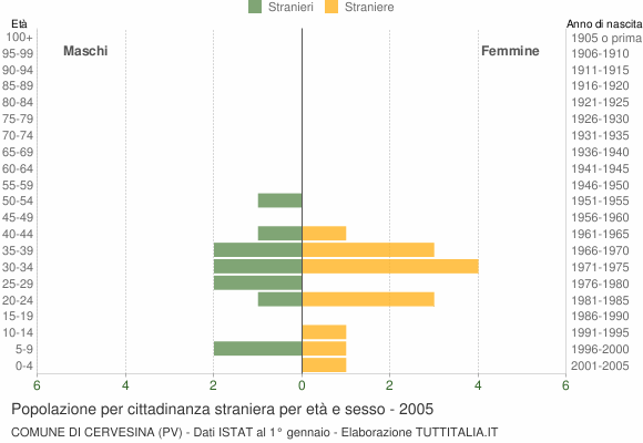 Grafico cittadini stranieri - Cervesina 2005
