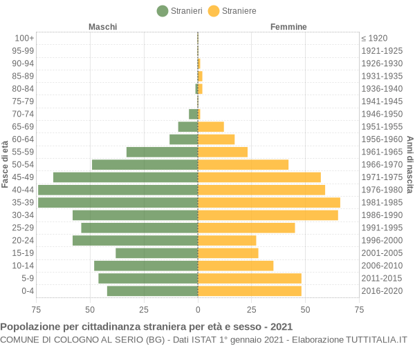 Grafico cittadini stranieri - Cologno al Serio 2021