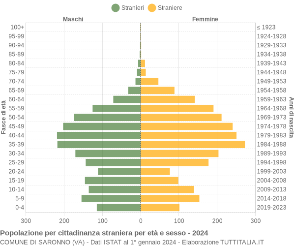 Grafico cittadini stranieri - Saronno 2024