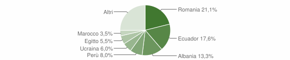 Grafico cittadinanza stranieri - Sedriano 2010