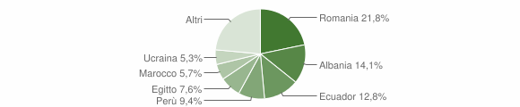 Grafico cittadinanza stranieri - Sedriano 2015
