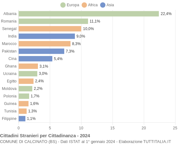 Grafico cittadinanza stranieri - Calcinato 2024