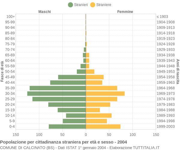 Grafico cittadini stranieri - Calcinato 2004