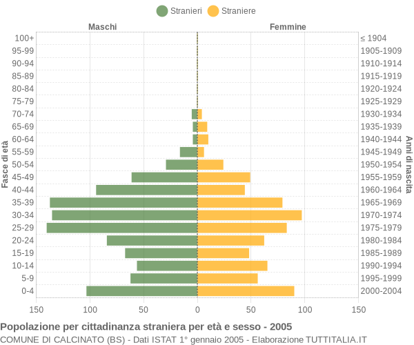 Grafico cittadini stranieri - Calcinato 2005