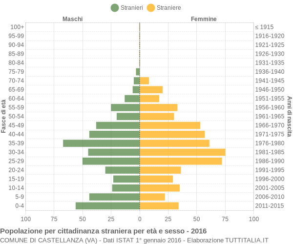 Grafico cittadini stranieri - Castellanza 2016