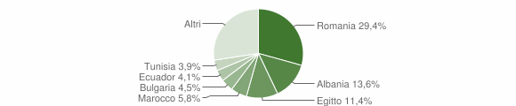 Grafico cittadinanza stranieri - Melegnano 2009
