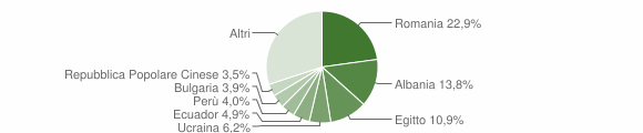 Grafico cittadinanza stranieri - Melegnano 2013