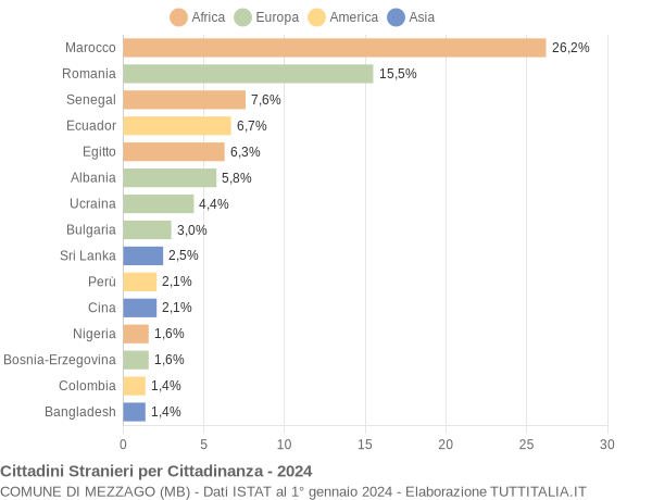 Grafico cittadinanza stranieri - Mezzago 2024