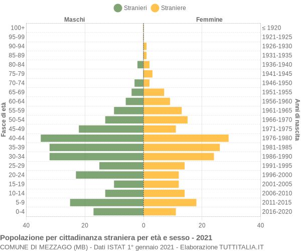 Grafico cittadini stranieri - Mezzago 2021