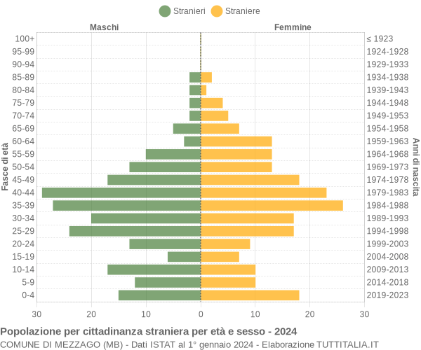 Grafico cittadini stranieri - Mezzago 2024