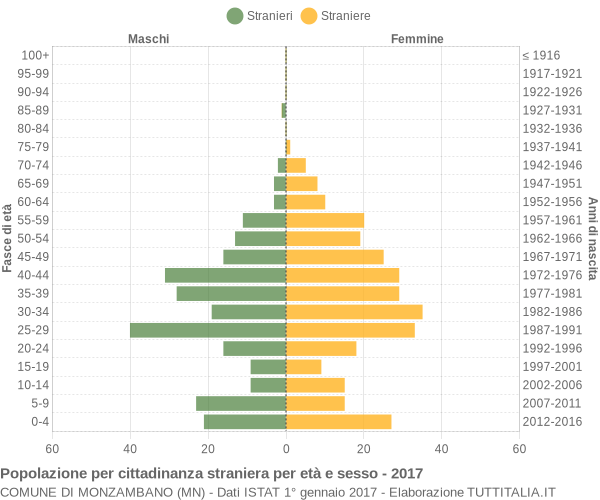 Grafico cittadini stranieri - Monzambano 2017