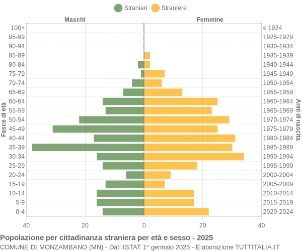 Grafico cittadini stranieri - Monzambano 2025