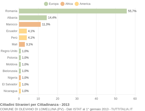 Grafico cittadinanza stranieri - Olevano di Lomellina 2013