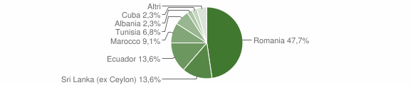 Grafico cittadinanza stranieri - Verrua Po 2009