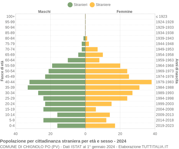 Grafico cittadini stranieri - Chignolo Po 2024