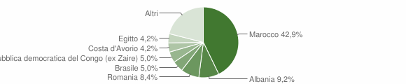 Grafico cittadinanza stranieri - Corno Giovine 2010