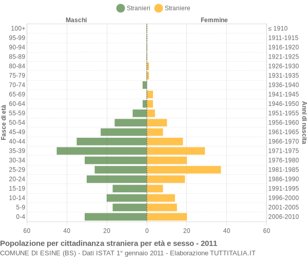 Grafico cittadini stranieri - Esine 2011