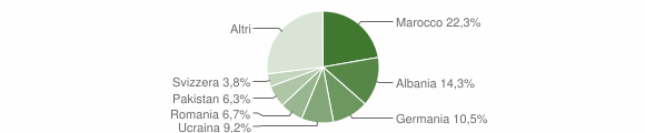 Grafico cittadinanza stranieri - Germignaga 2010