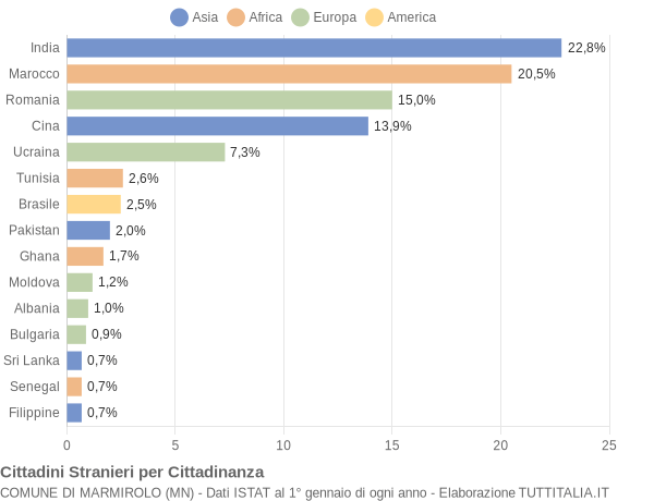 Grafico cittadinanza stranieri - Marmirolo 2013
