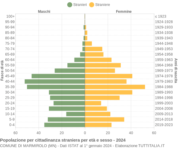 Grafico cittadini stranieri - Marmirolo 2024