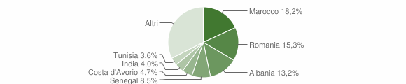 Grafico cittadinanza stranieri - Terno d'Isola 2010