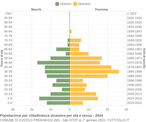 Grafico cittadini stranieri - Vizzolo Predabissi 2024