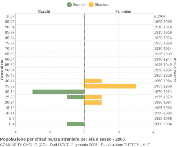 Grafico cittadini stranieri - Caglio 2005