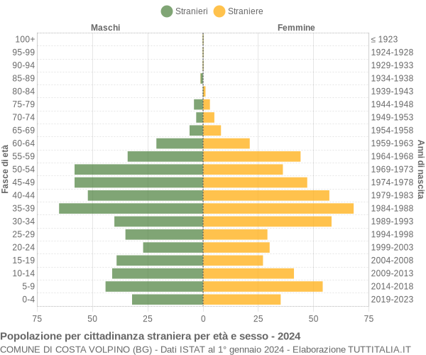 Grafico cittadini stranieri - Costa Volpino 2024