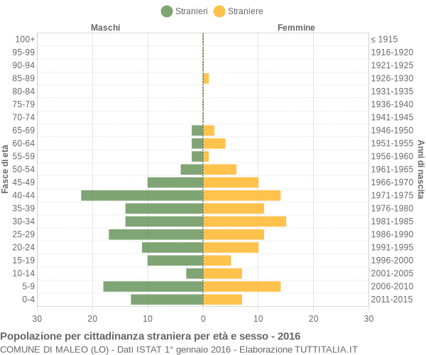 Grafico cittadini stranieri - Maleo 2016