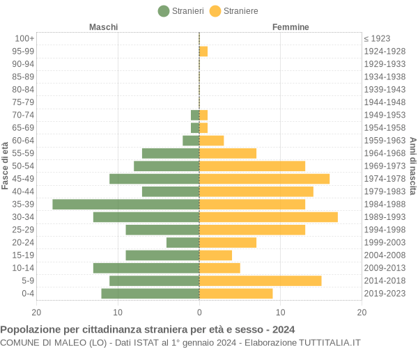 Grafico cittadini stranieri - Maleo 2024