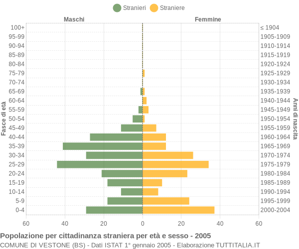 Grafico cittadini stranieri - Vestone 2005