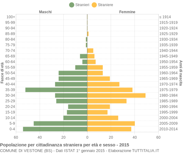 Grafico cittadini stranieri - Vestone 2015