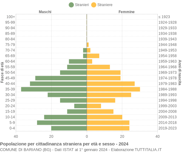 Grafico cittadini stranieri - Bariano 2024