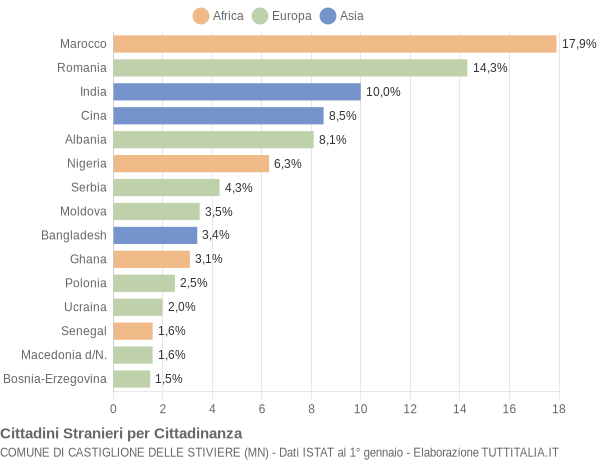 Grafico cittadinanza stranieri - Castiglione delle Stiviere 2009