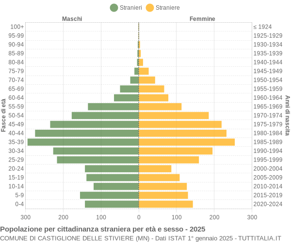 Grafico cittadini stranieri - Castiglione delle Stiviere 2025