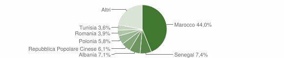 Grafico cittadinanza stranieri - Cene 2010