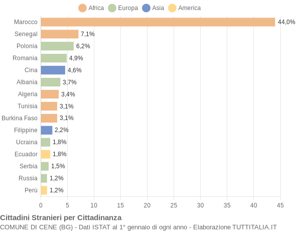 Grafico cittadinanza stranieri - Cene 2011