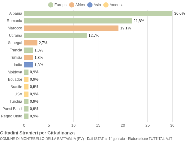 Grafico cittadinanza stranieri - Montebello della Battaglia 2008